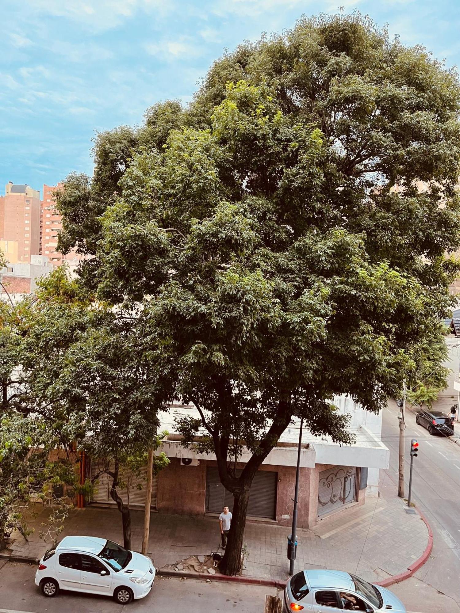 Apartamento Departamento Moderno Zona Centro